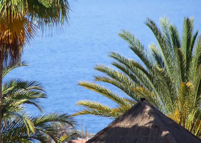 Hotel Bahia Principe Sunlight 4*